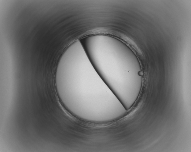 X0000116340841200912011017