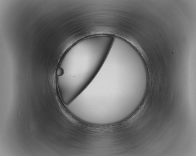 X0000116340842200912011017