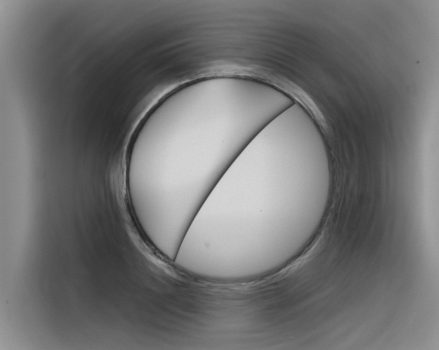 X0000116340844200912011017