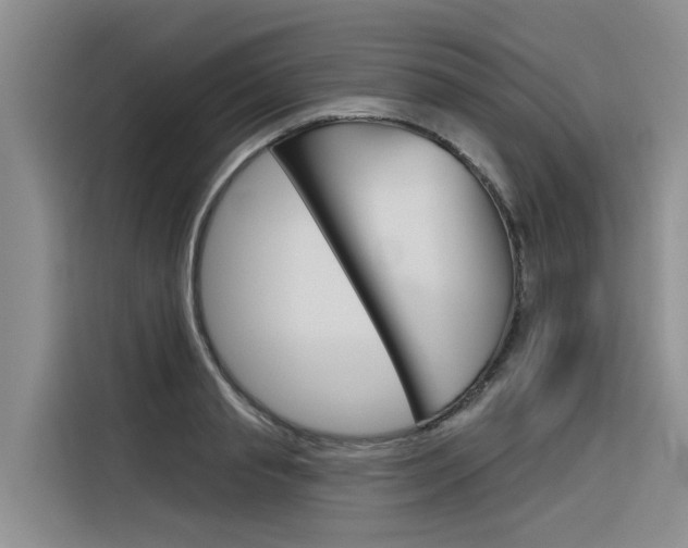 X0000116340845200912011017