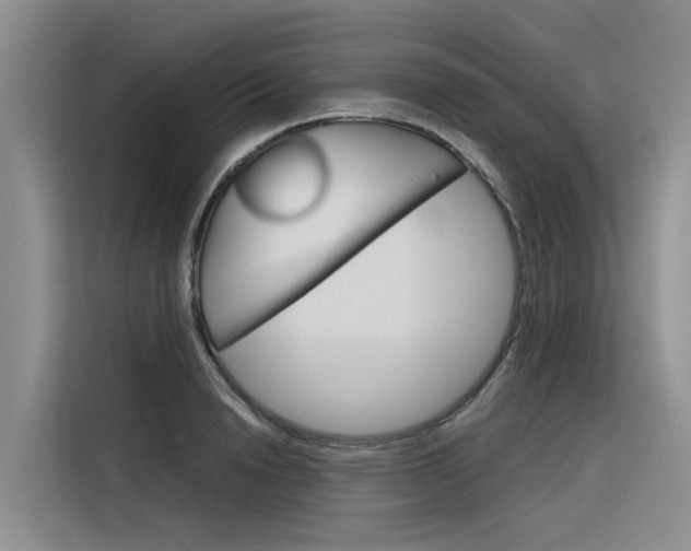 X0000116340846200912011017