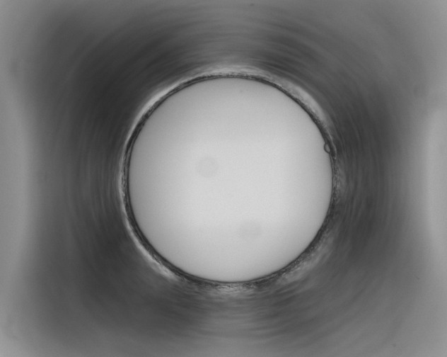 X0000116340847200912011017