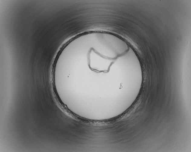 X0000116340848200912011017