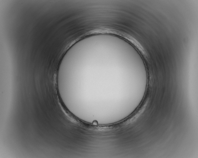 X0000116340849200912011017