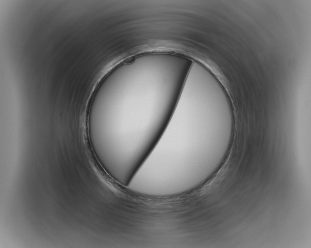 X0000116340850200912011017