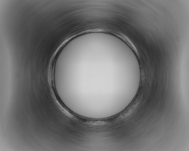 X0000116340851200912011017