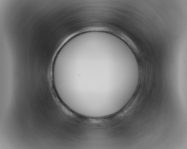X0000116340852200912011017