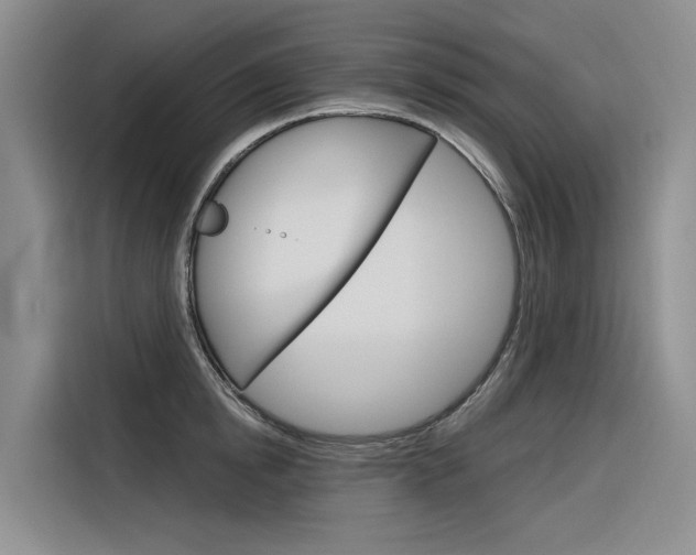 X0000116340854200912011017