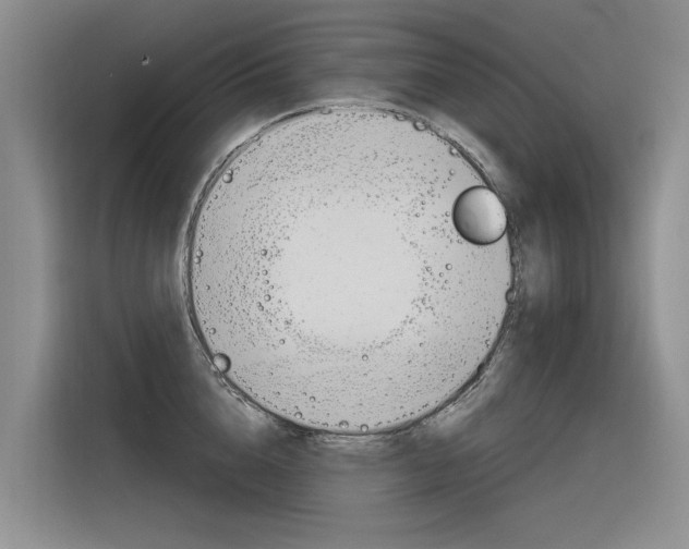 X0000116340856200912011017