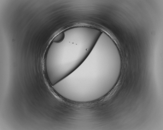 X0000116340858200912011017