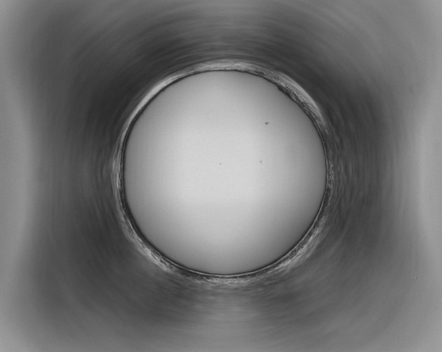 X0000116340860200912011017