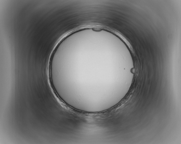 X0000116340861200912011017