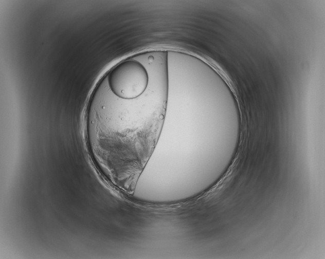X0000116340862200912011017