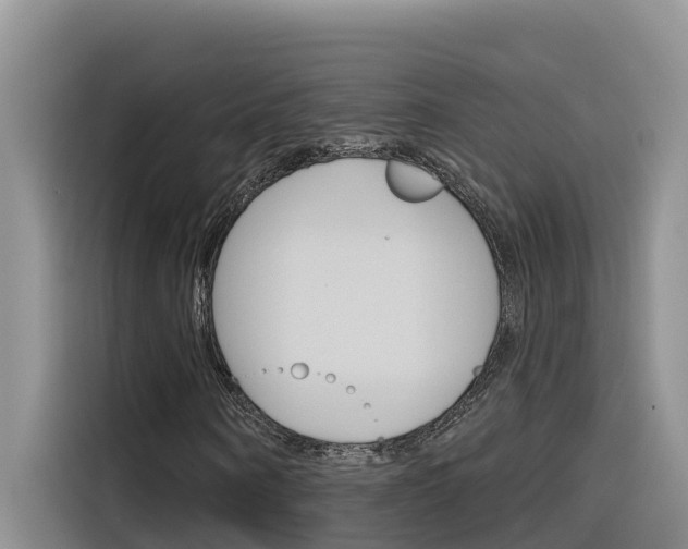 X0000116340866200912011016