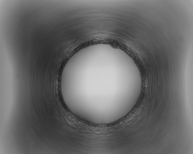 X0000116340868200912011016