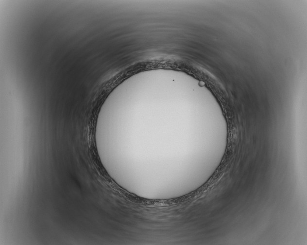 X0000116340869200912011016