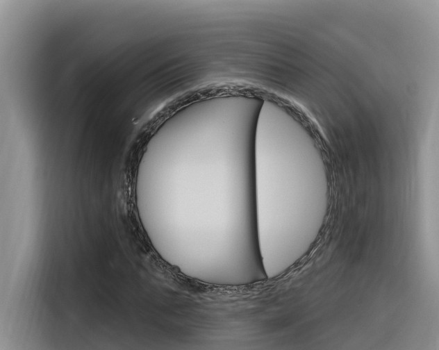 X0000116340871200912011016