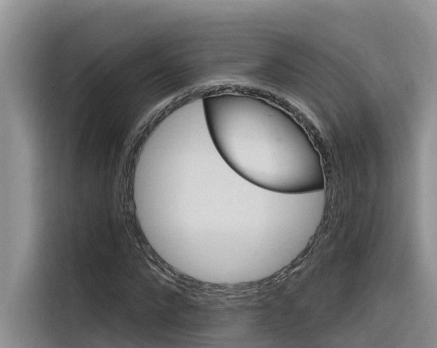 X0000116340872200912011016