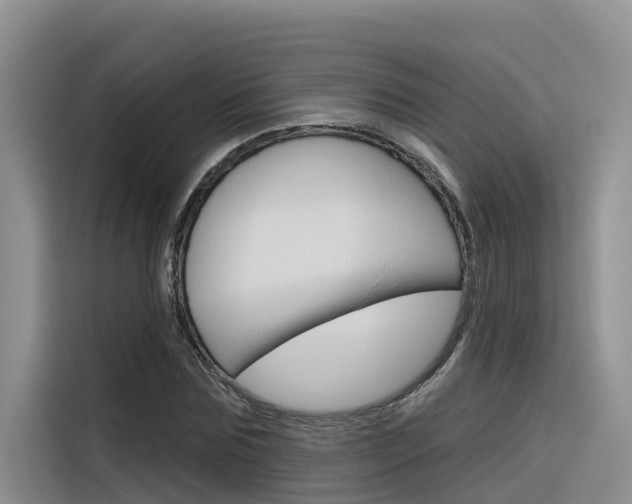 X0000116340875200912011016