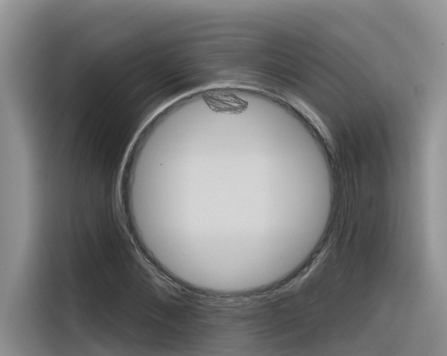 X0000116340876200912011016