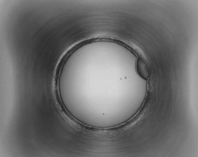 X0000116340880200912011016