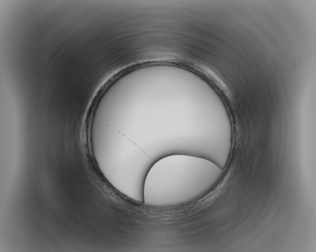 X0000116340883200912011016