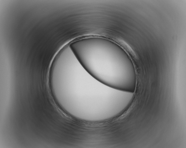 X0000116340884200912011016