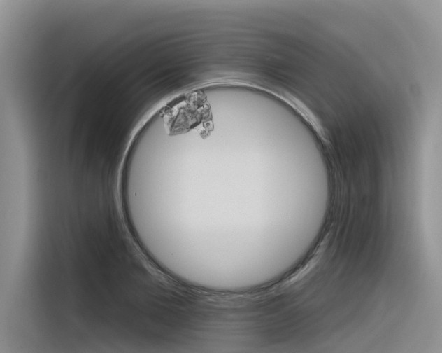 X0000116340885200912011016