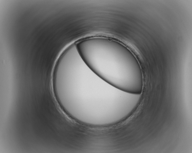 X0000116340888200912011016