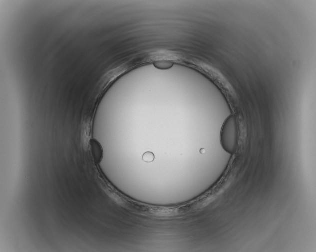 X0000116340889200912011016