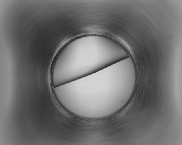 X0000116340891200912011016