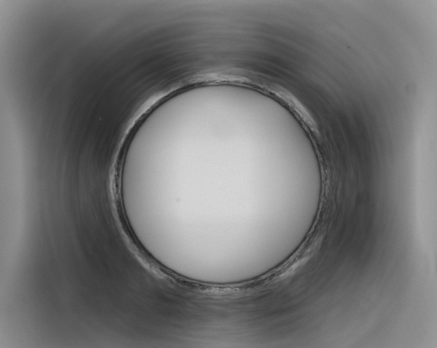 X0000116340893200912011016