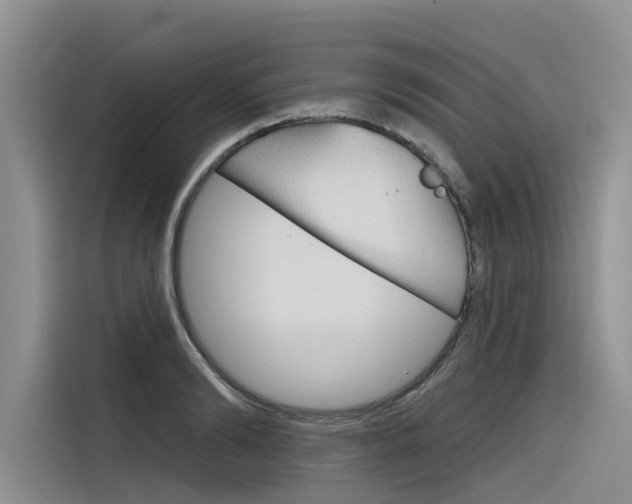 X0000116340894200912011016