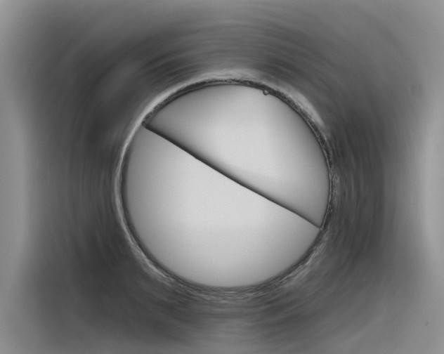 X0000116340895200912011016