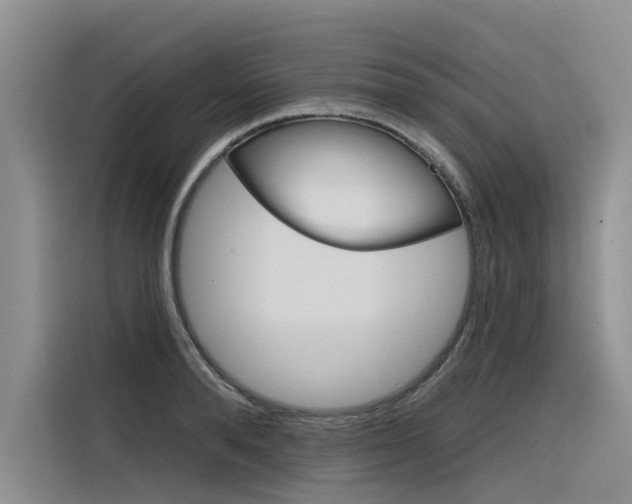 X0000116340896200912011016