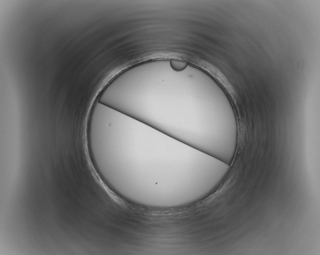 X0000116340898200912011016