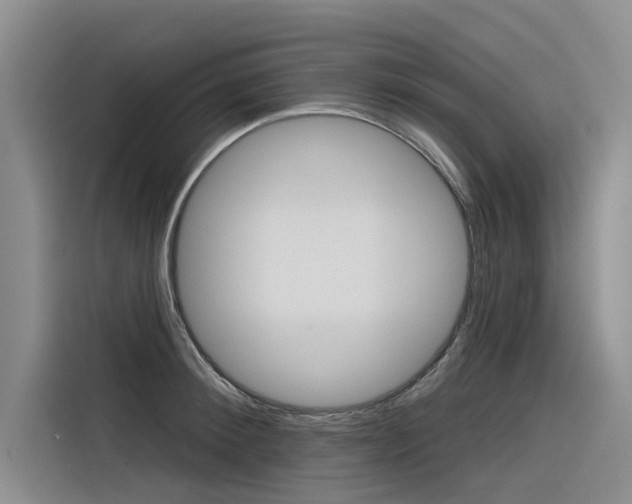 X0000116340900200912011016