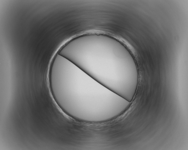 X0000116340902200912011016