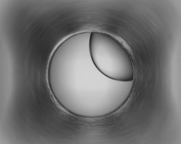 X0000116340904200912011016