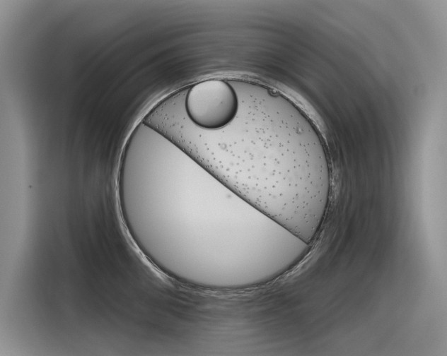 X0000116340906200912011016