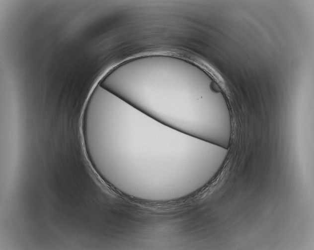 X0000116340907200912011016
