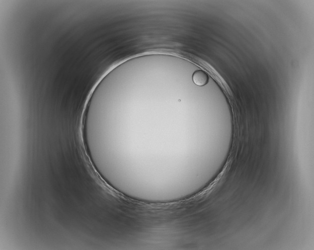 X0000116340908200912011016