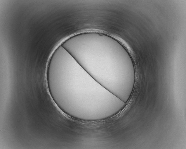 X0000116340910200912011016