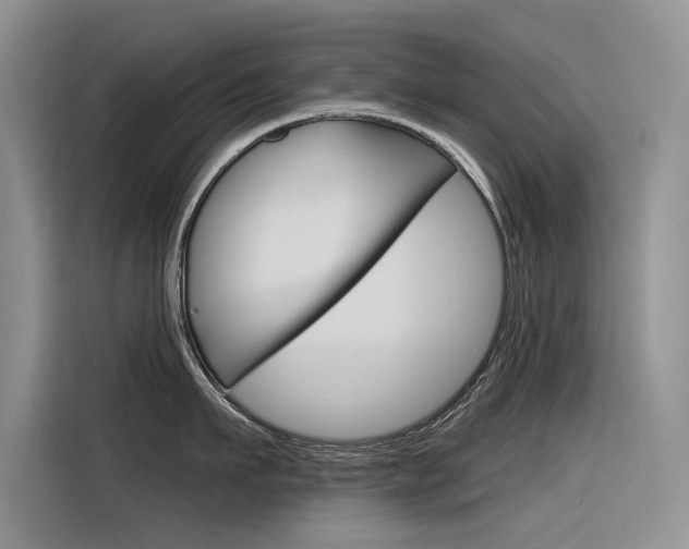 X0000116340911200912011016
