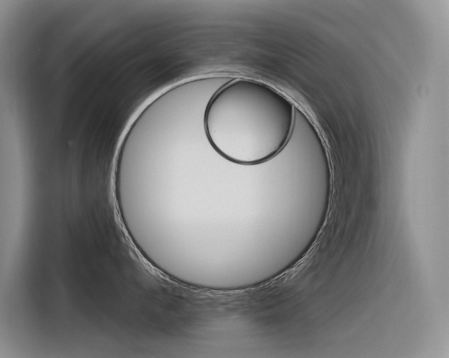 X0000116340912200912011016
