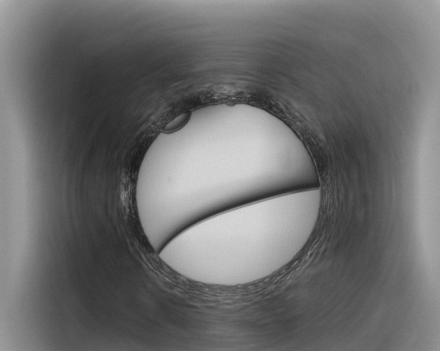 X0000116340914200912011015