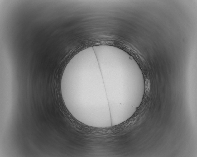 X0000116340915200912011015