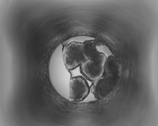 X0000116340917200912011015