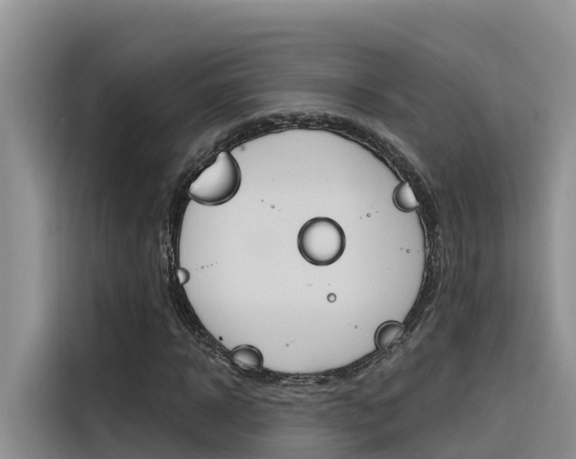 X0000116340918200912011015