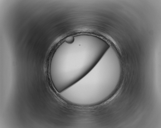 X0000116340922200912011015